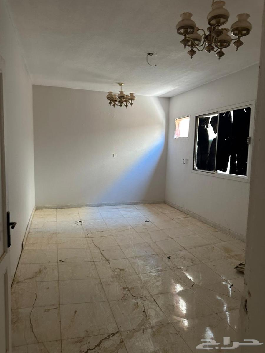 عماره64141479810434114