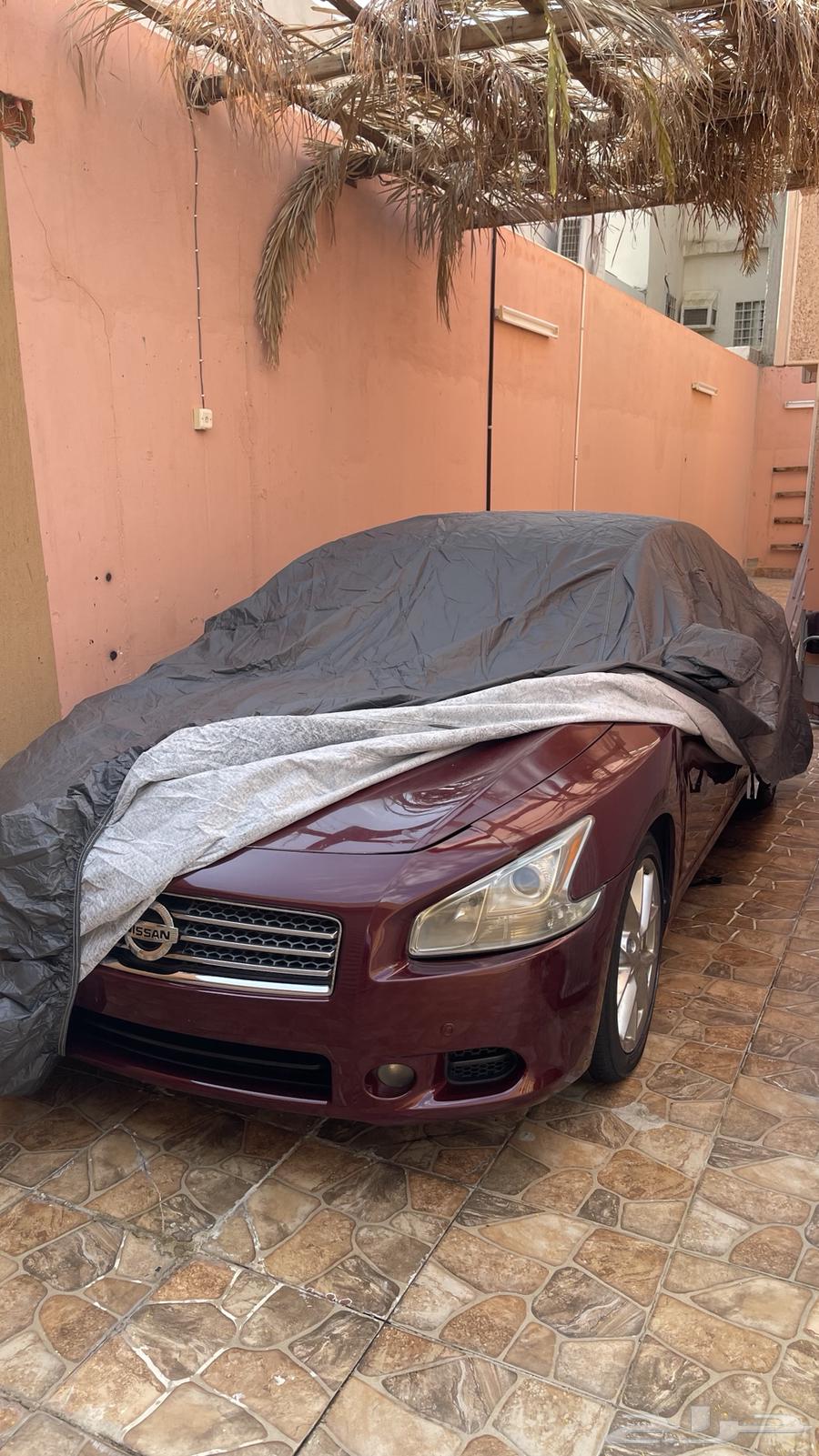Maxima 201164169813260546110