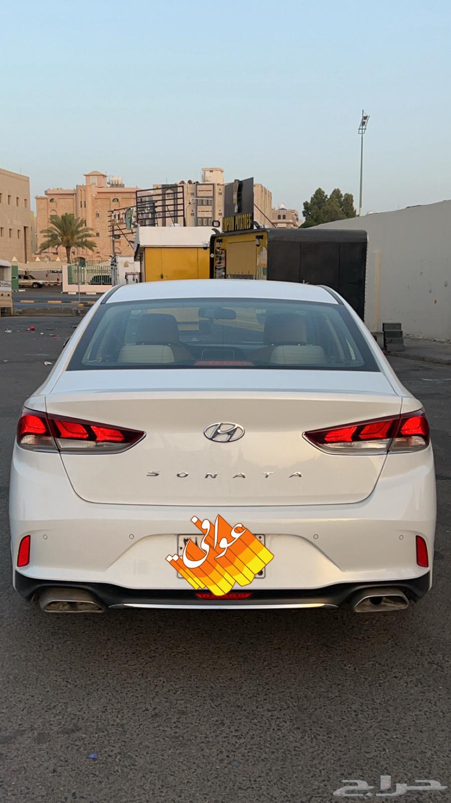 2019 Sonata Standard - Sold64141487679617110