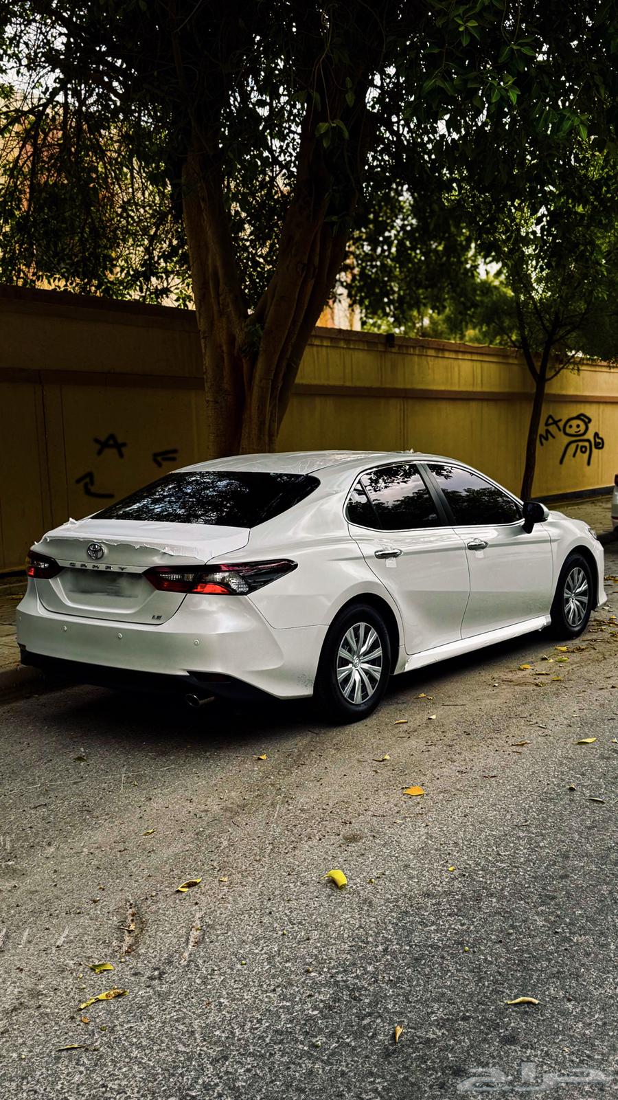 Camry 202364153552779265111