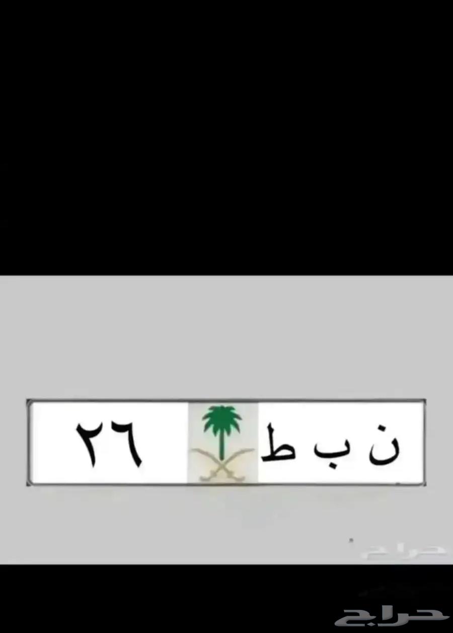 Special Plate Number and Meaning Nabati 26   Taab 12   Batal 390   1764156955156865110