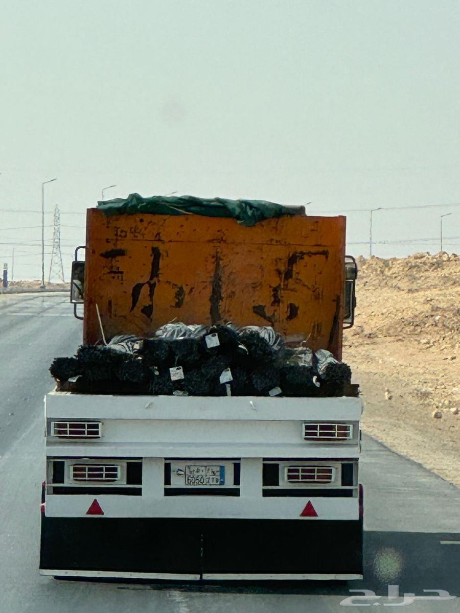 تريله سطحه ب الخرج للمشاوير داخل الخرج او خارجها64141878717699110