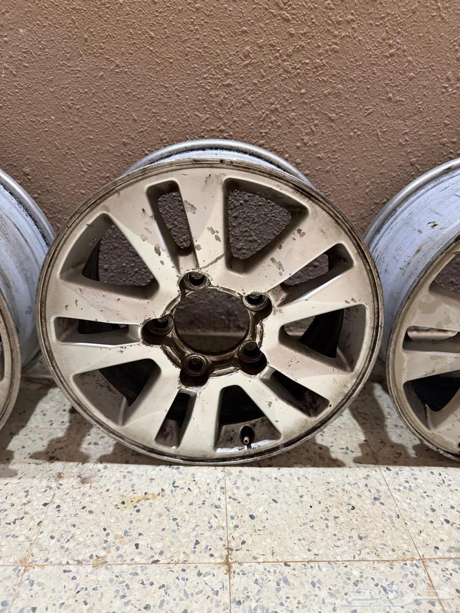 جنوط وكالة GXR64142163008771113