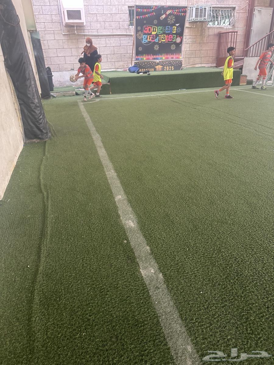 Stadium Turf63915458479233111