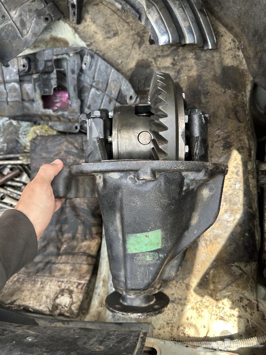 كرونة شاص دفلك64172353137411110