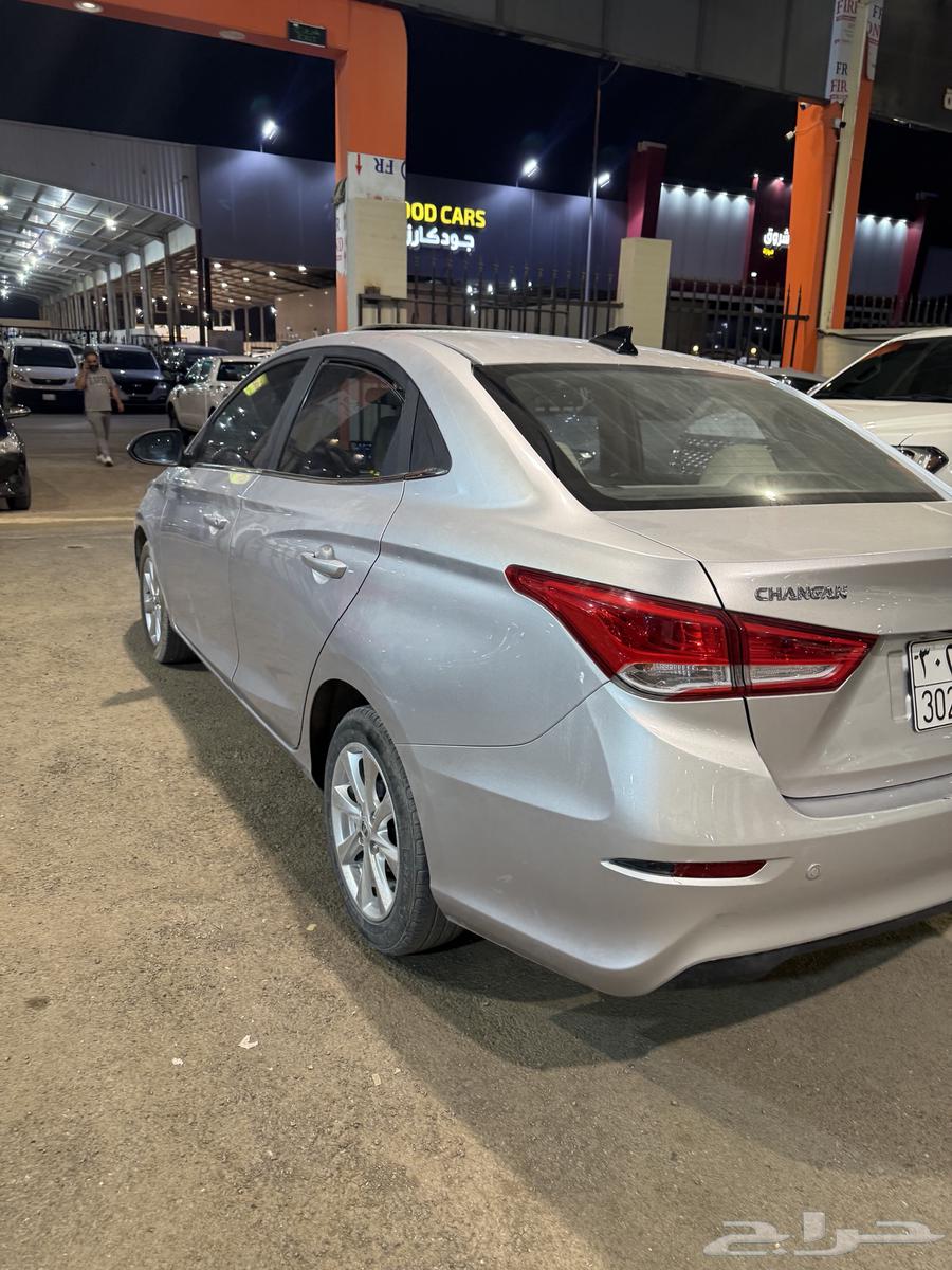 ال سفن 2024 وكاله مشروطة على الفحص64141485124481114