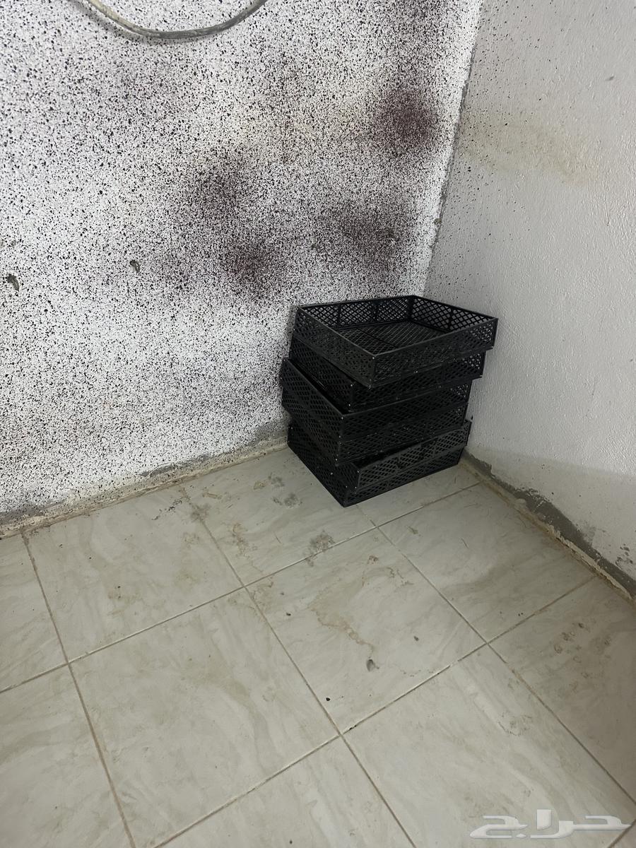 Incubator (Sold)63923179226371110