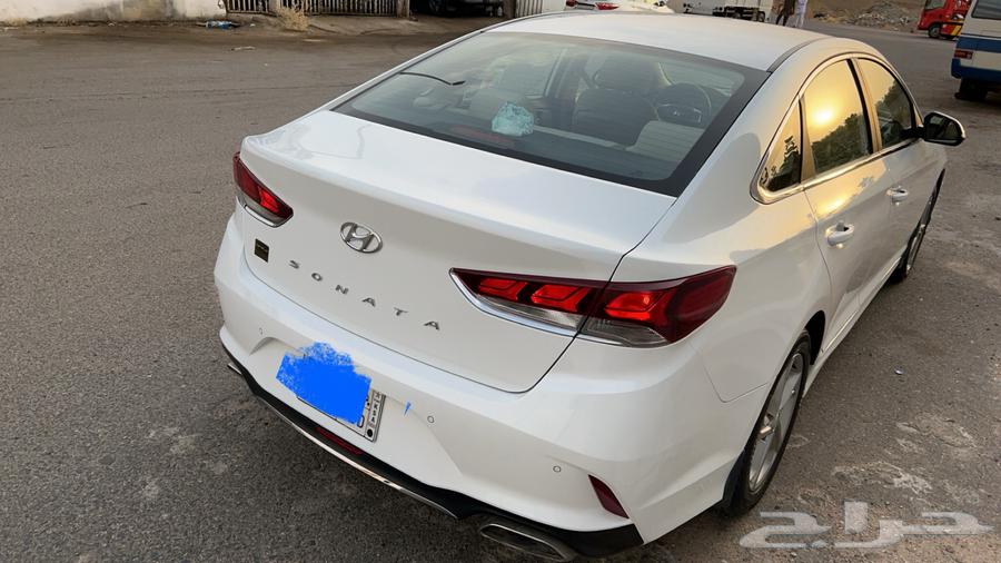 2019 Sonata Standard - Sold64141487679617112