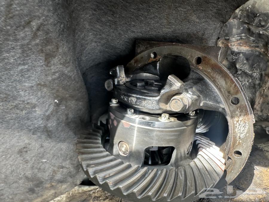 كرونة شاص دفلك64172353137411112