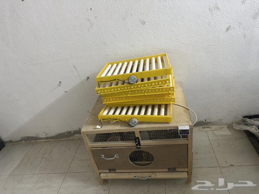 Incubator (Sold)63923179226371111