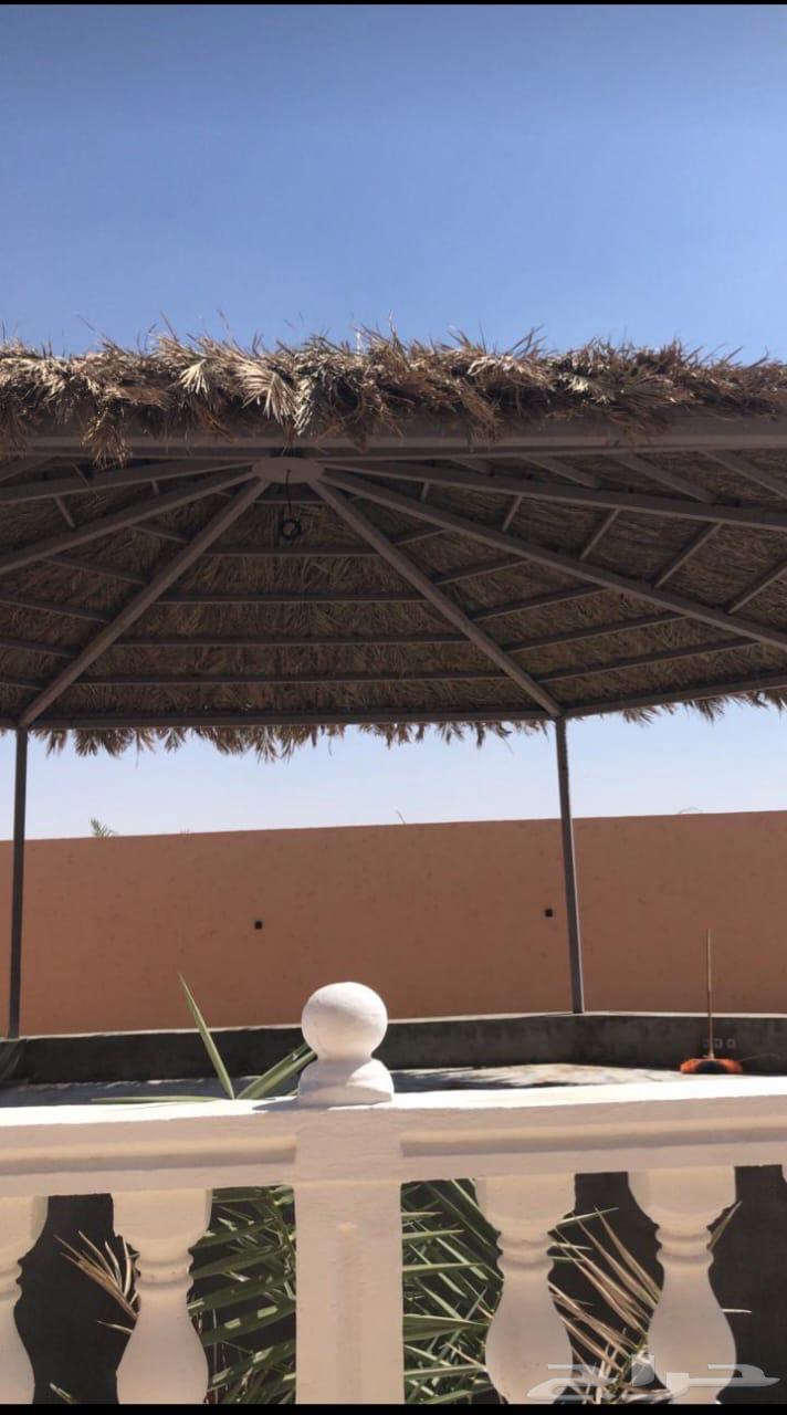 تركيب جلسات تراثية عريش السعف النخيل جميع التصميمات63614317675777113