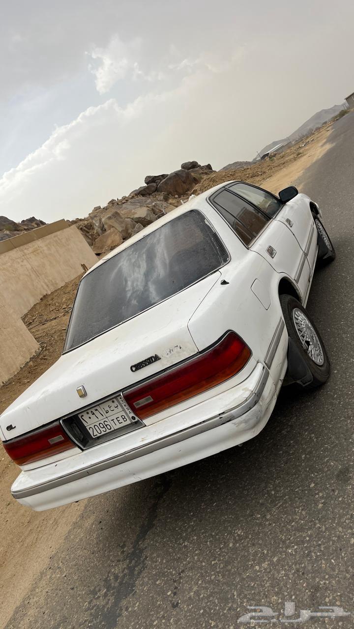 Cressida64141487051393111
