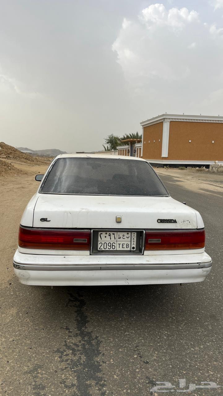 Cressida64141487051393110