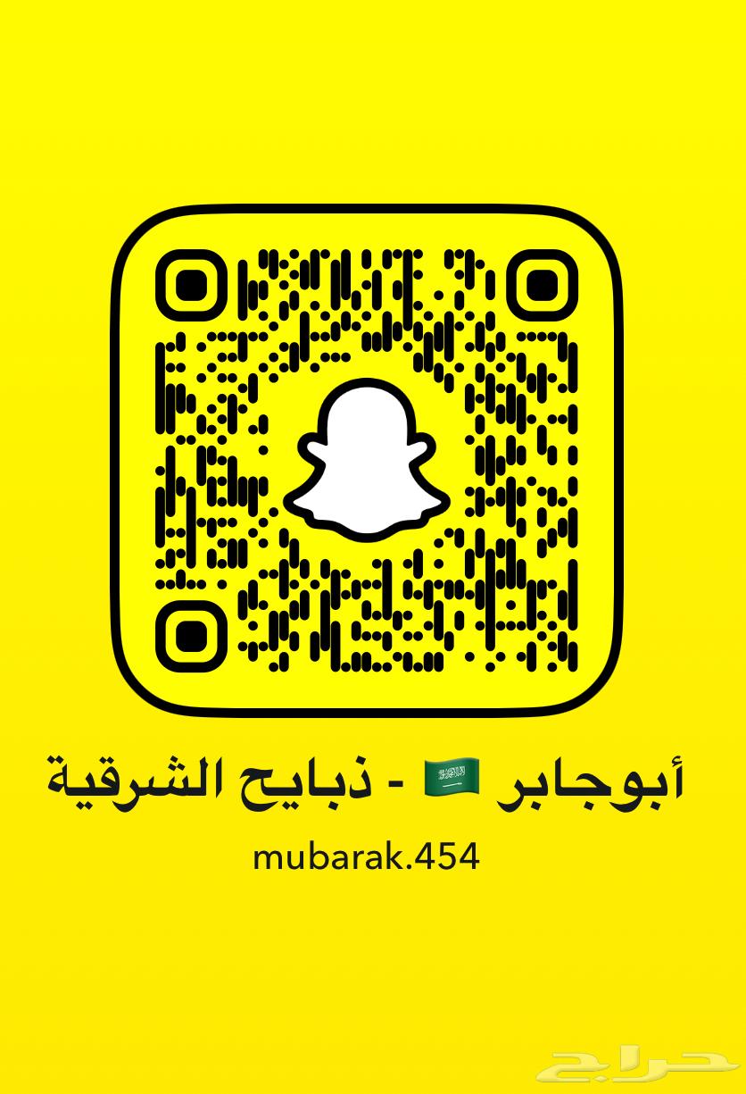 Local Lambs, Purebred, Mafateeh63912991718659111