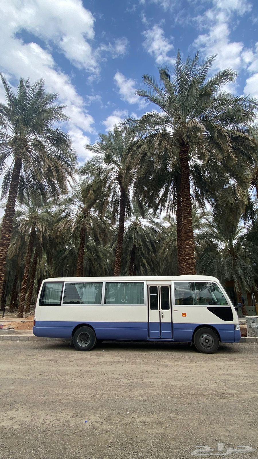باص 30 راكب أجار64143794745602110