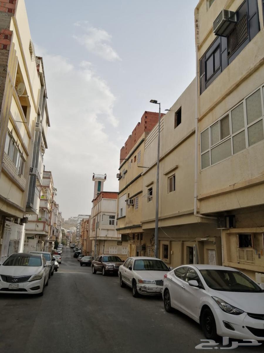 A two-story building with an area of 81 m, fully renovated, located on a 10-meter street63612652086785111