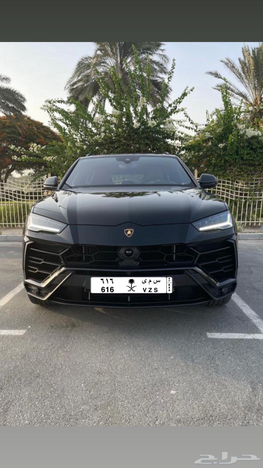 لوحة مميزة للبيع64205138130435110