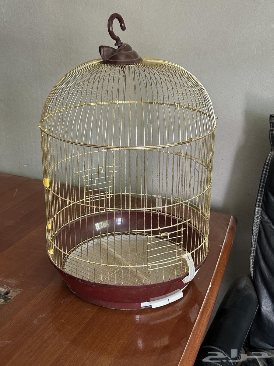 New and clean unused bird cage63934720804993110