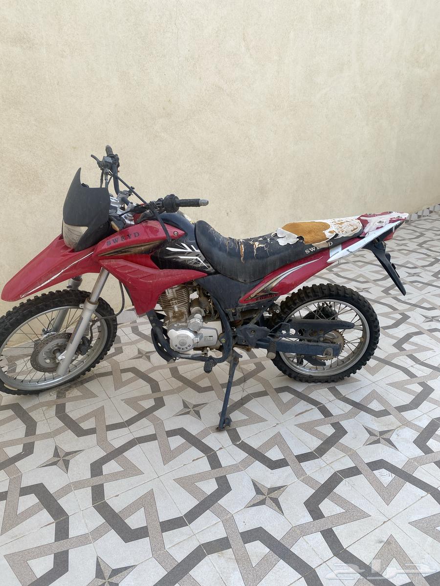 دباب صحرواي64176044321155111