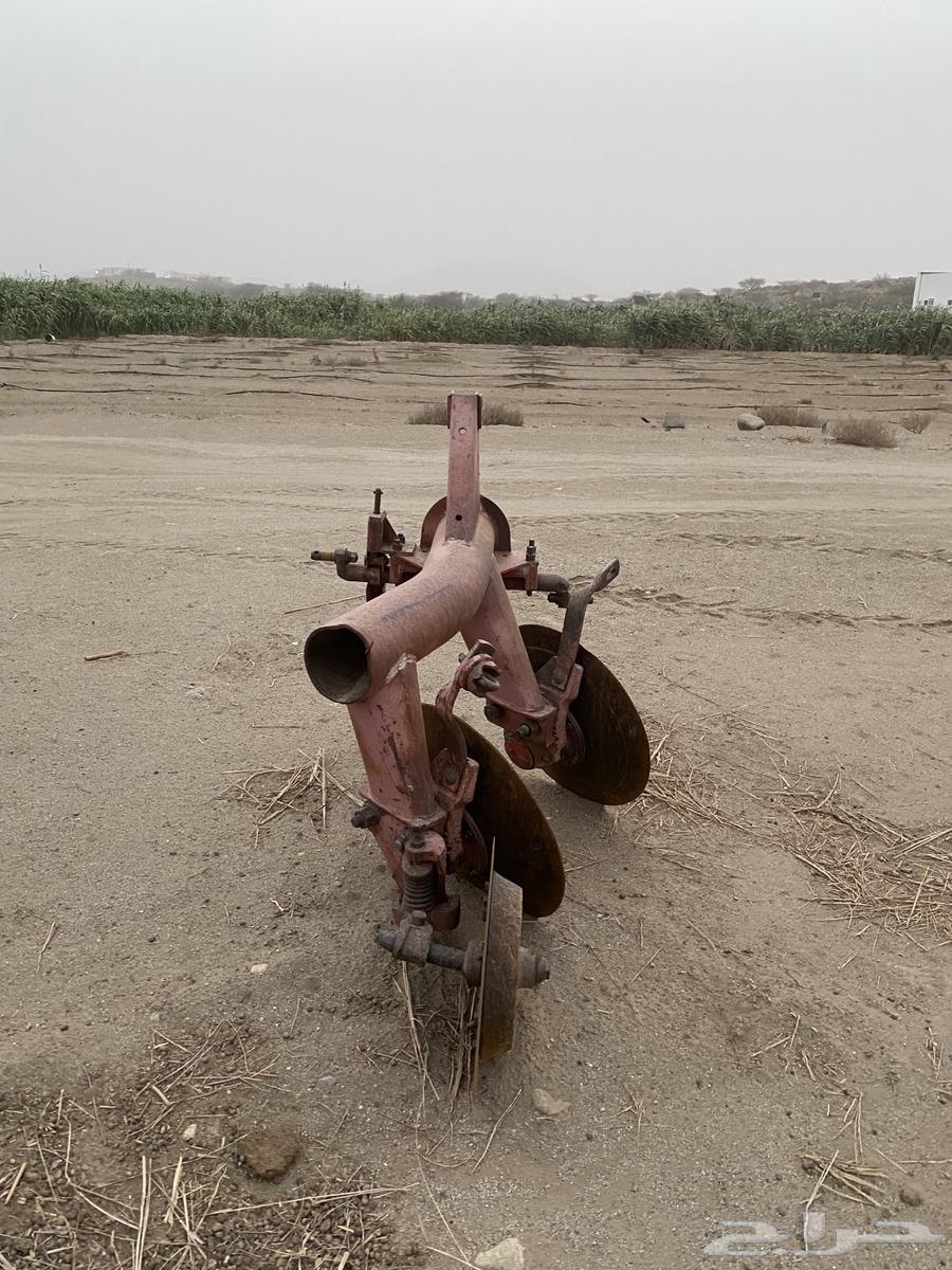 جراف انقليزي64205423806595113