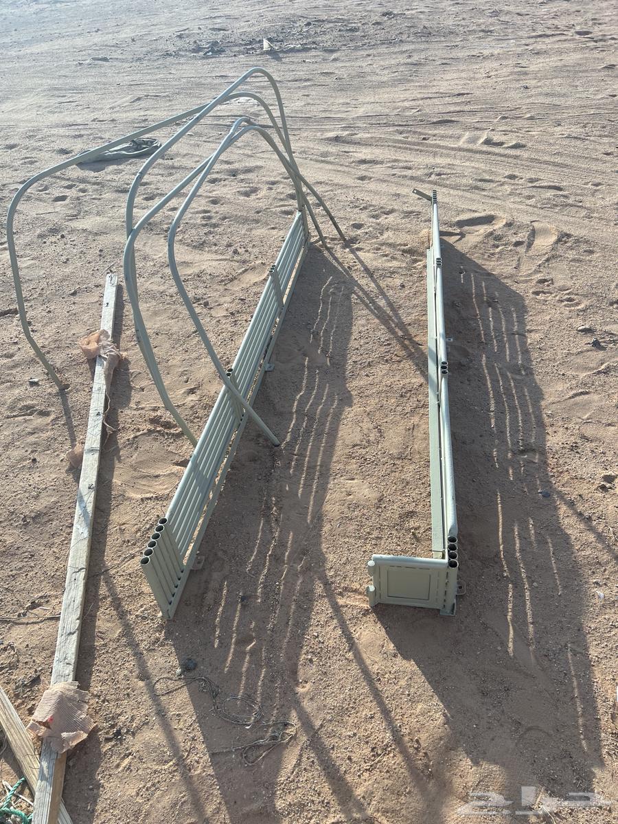 عقرب او شد شاص64200681272577111