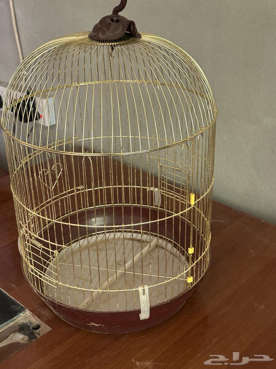 New and clean unused bird cage63934720804993112