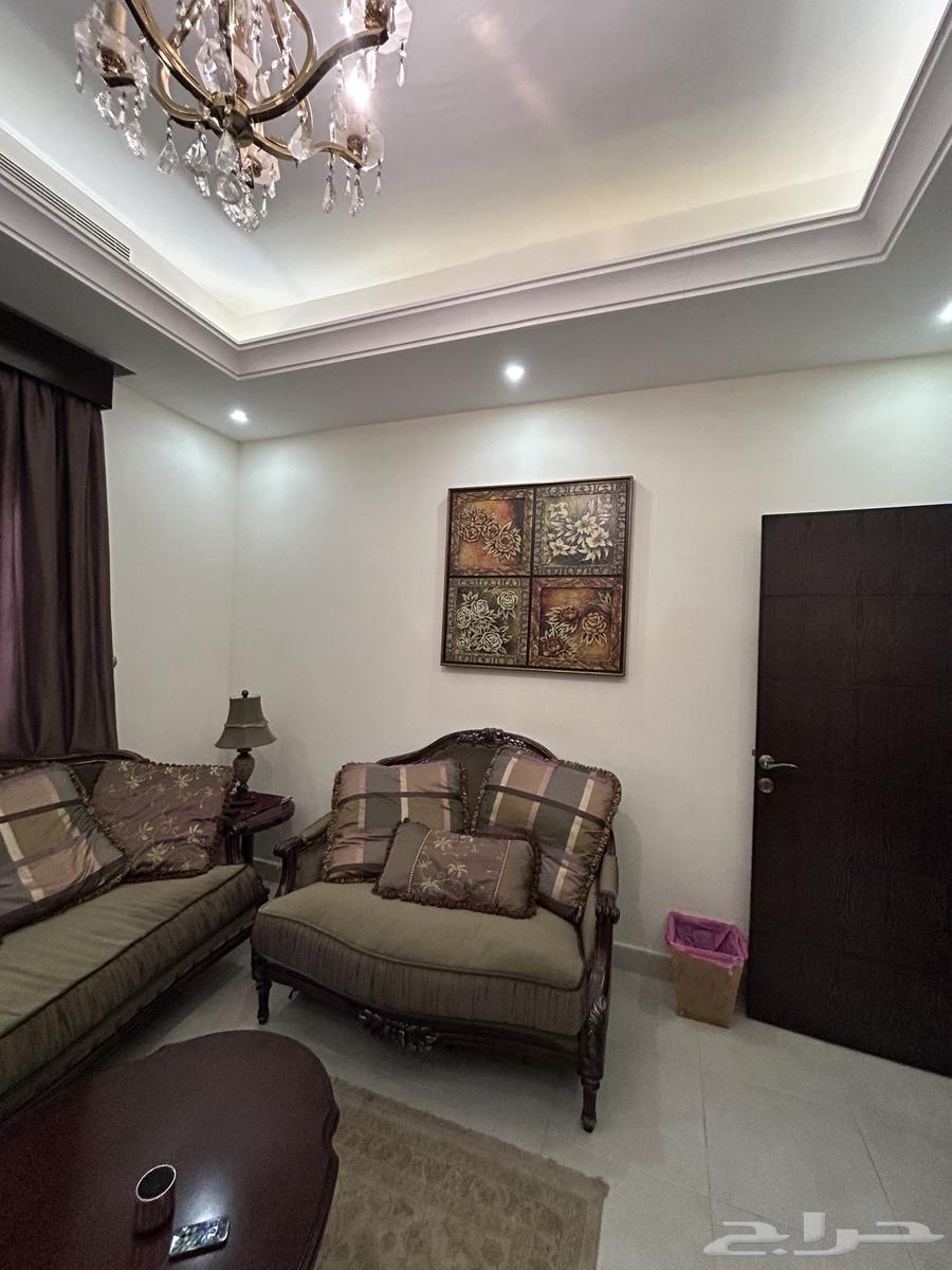 Luxury American Lounge - Sofa - Complete Majlis - 10 Pieces63618783041537111