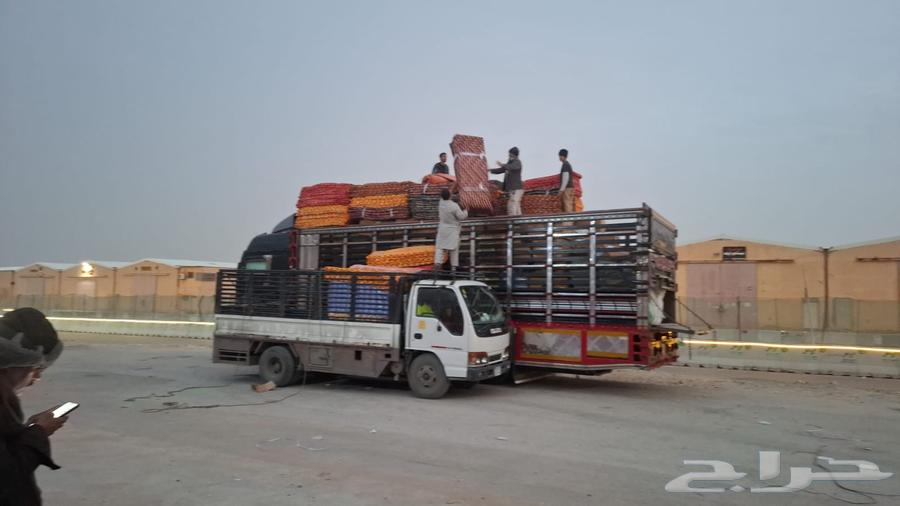 مسكس 9 متر للنقل جميع مناطق المملكه64198510942338114