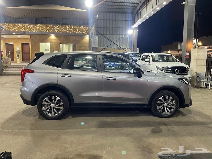 Haval Julian Standard 202564185442340226114