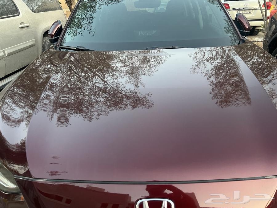 هوندا زد آر في 202464201342115715111