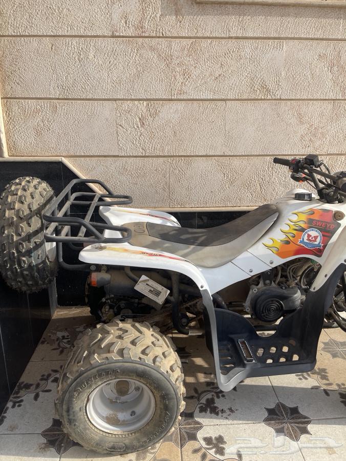 دباب سويدي 202164198063644674113