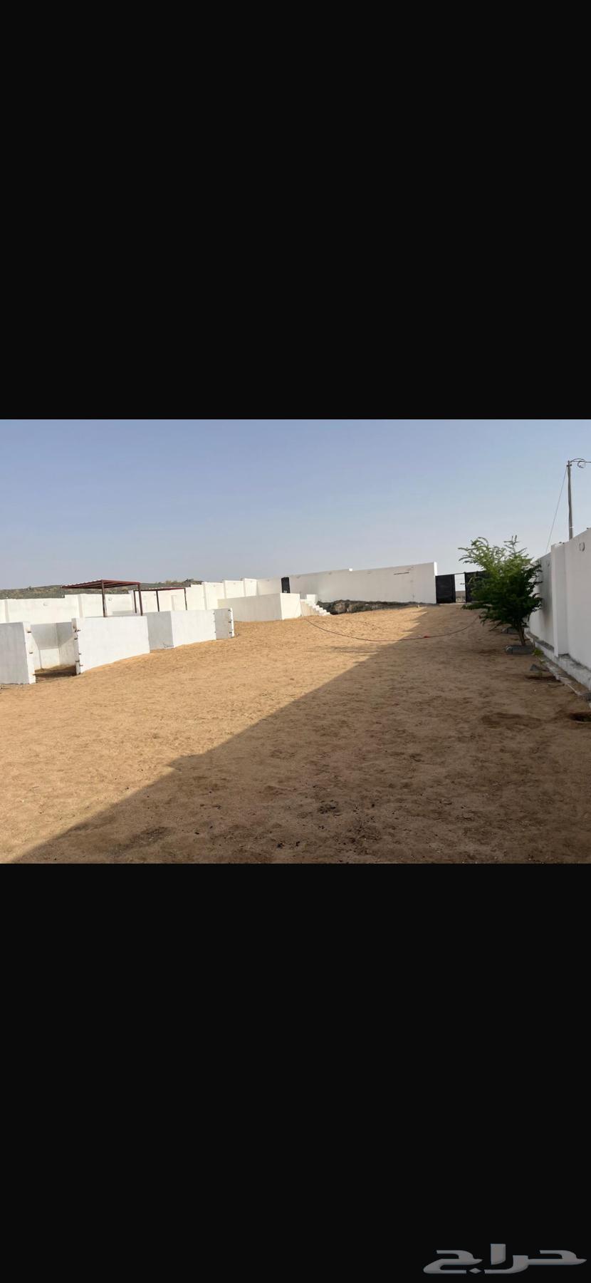 استراحه للتقبيل في الواصليه السيل الصغير بالطائف63612658217602111
