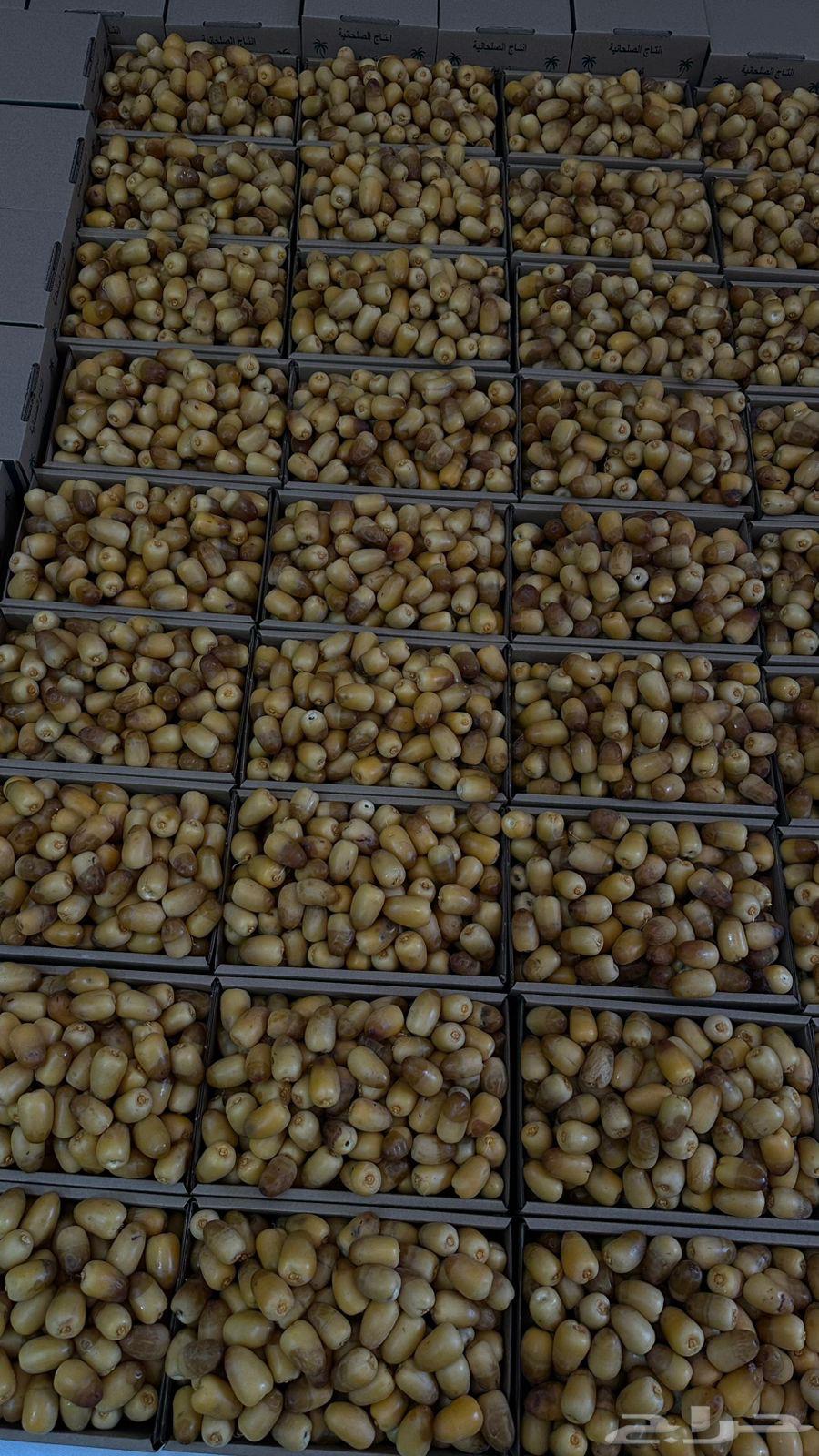 White dates63938560723841110