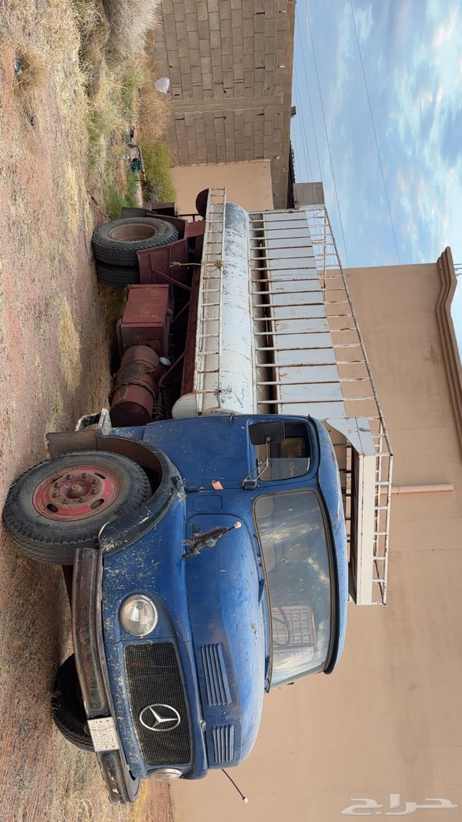 حصناني للبيع 6864228320594561111