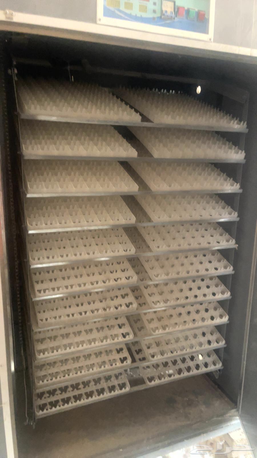 Incubator 1760 eggs and 19 trays63953547477250111