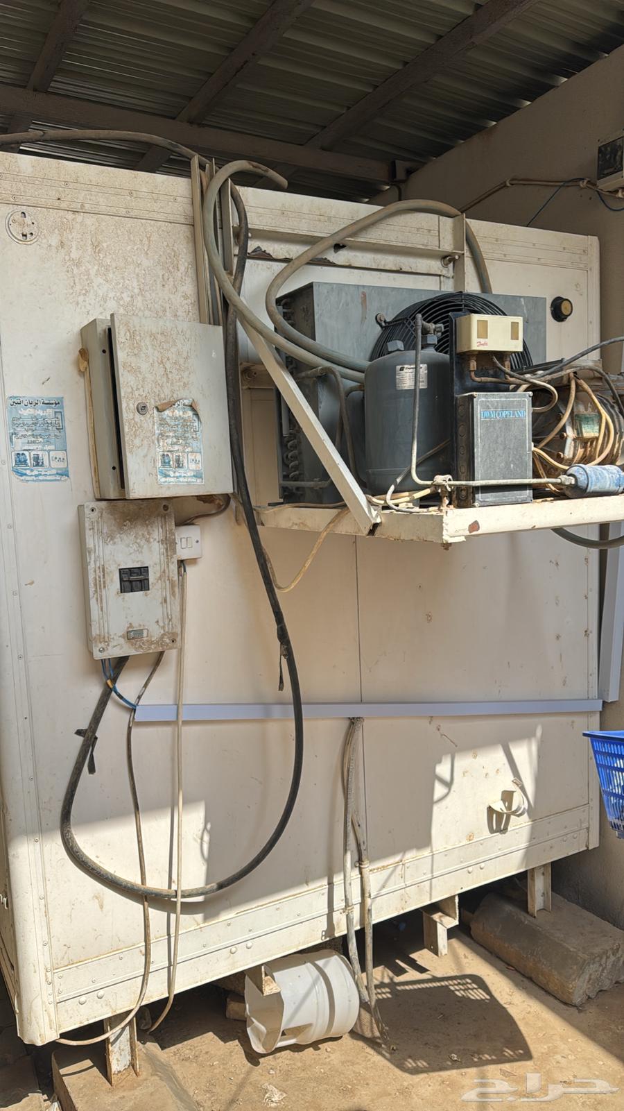 صندوق ديانا للبيع64215808626306112