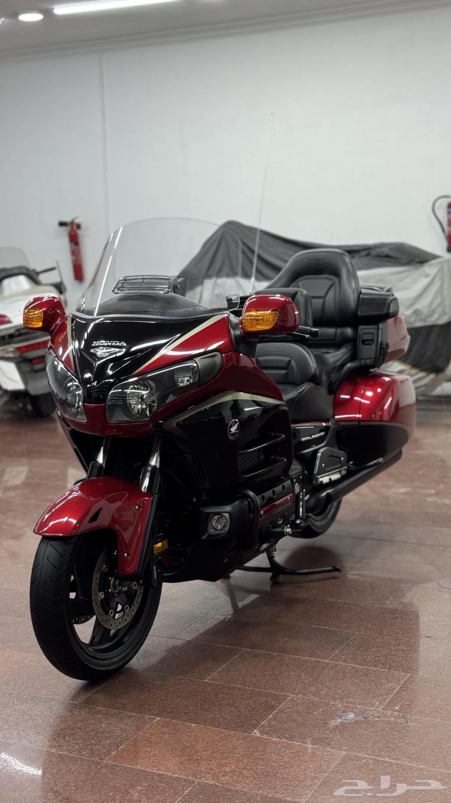 قولد وينق64209728662401112