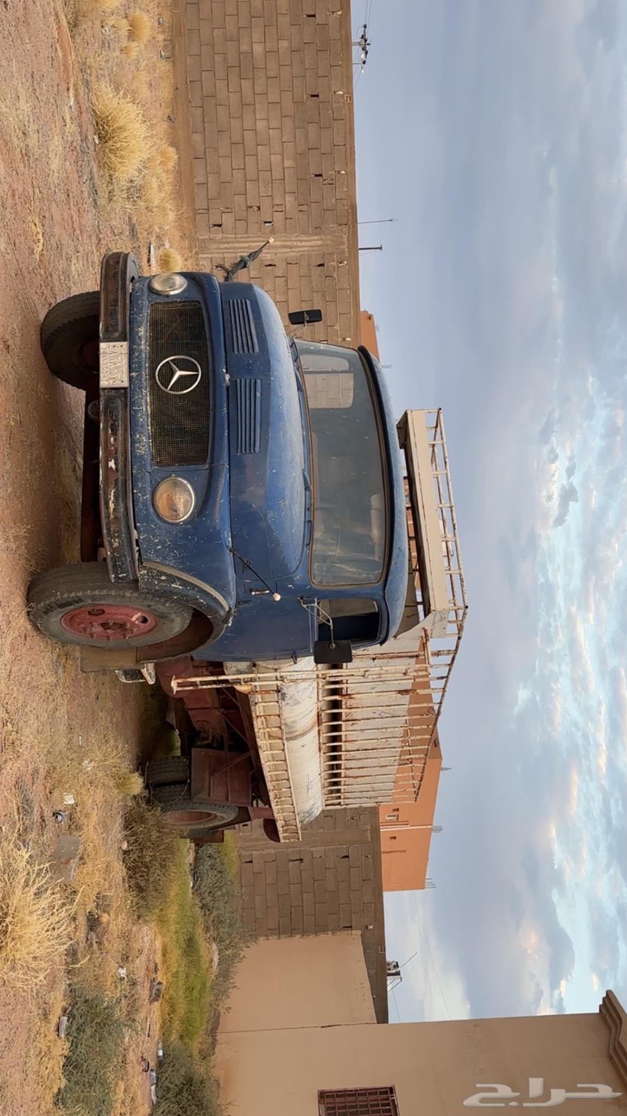 حصناني للبيع 6864228320594561110