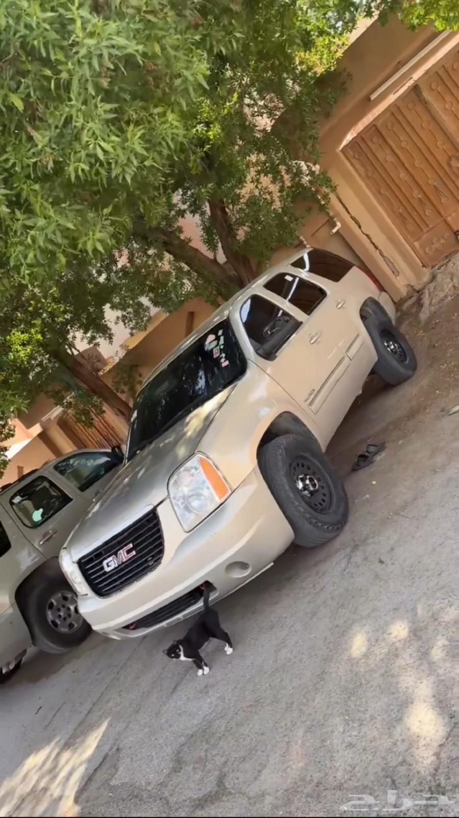 جمس يوكن 2010 ( قصير )64223441911427111