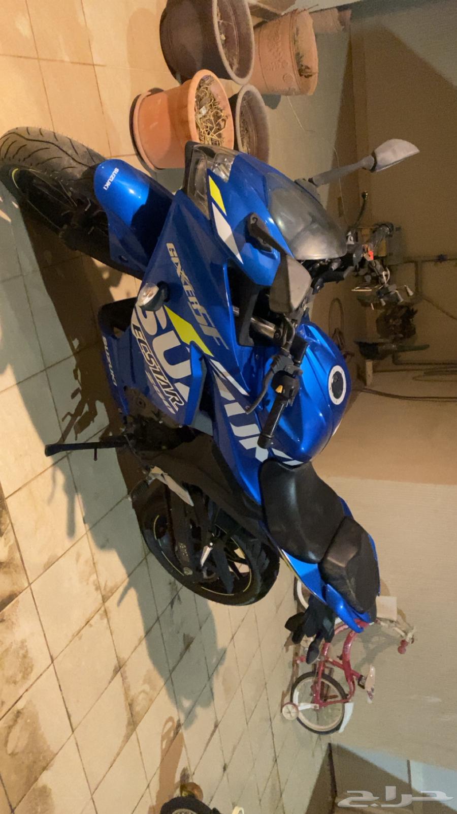 سوزوكي250cc ريس 2022 للبيع64216756336771110