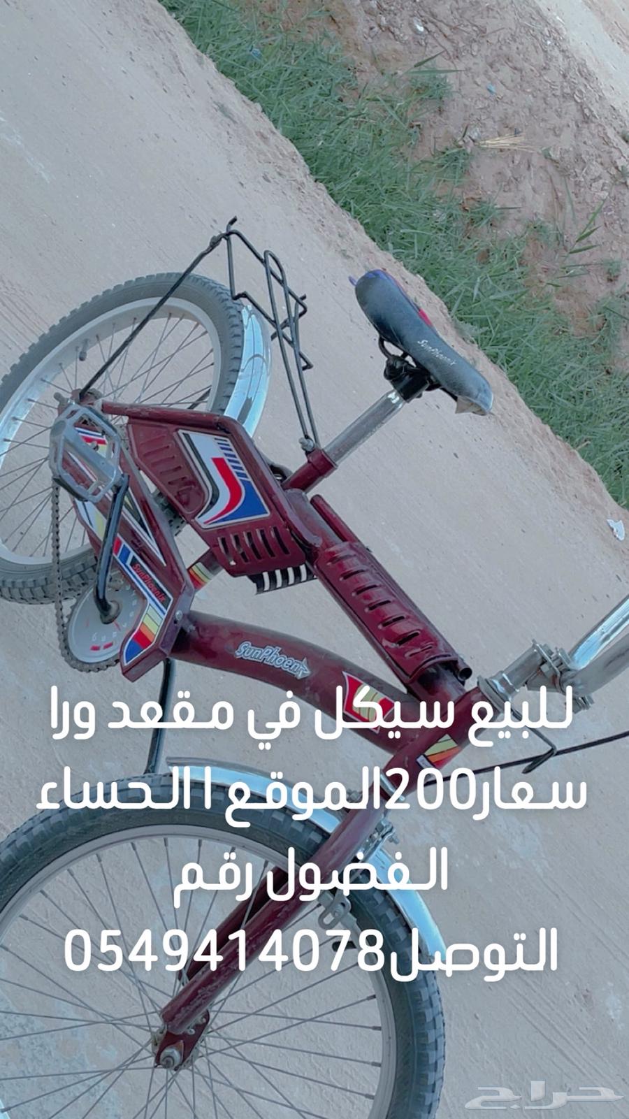 للبيع سيكل في الأحساء الفضول64208658279299110