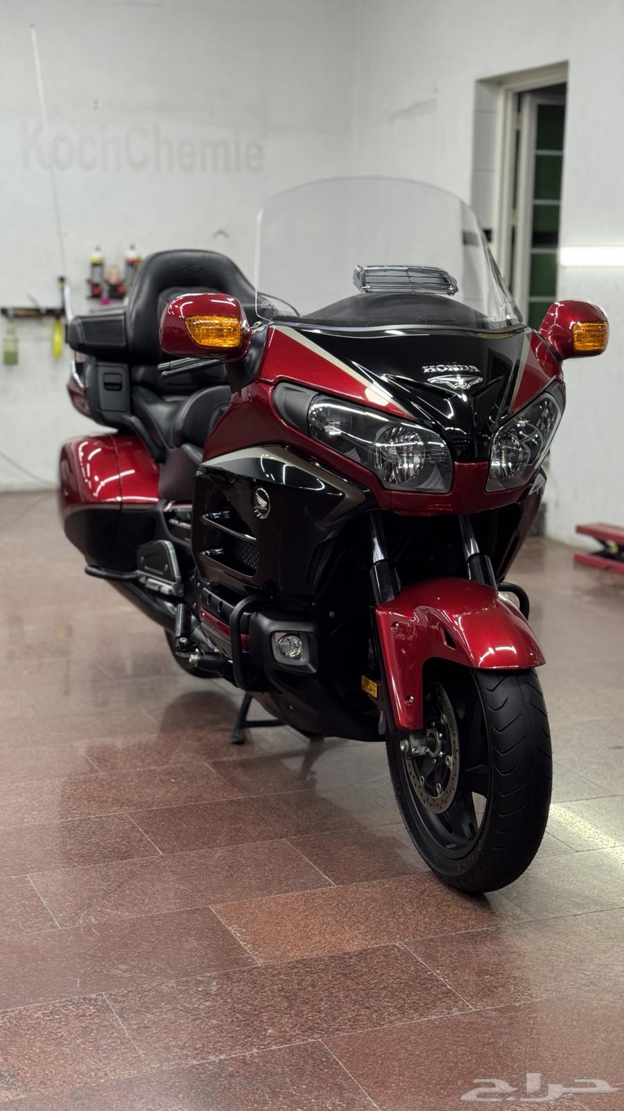 قولد وينق64209728662401110