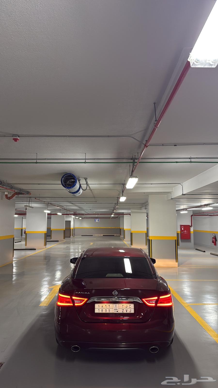 Maxima 201664224071690369113