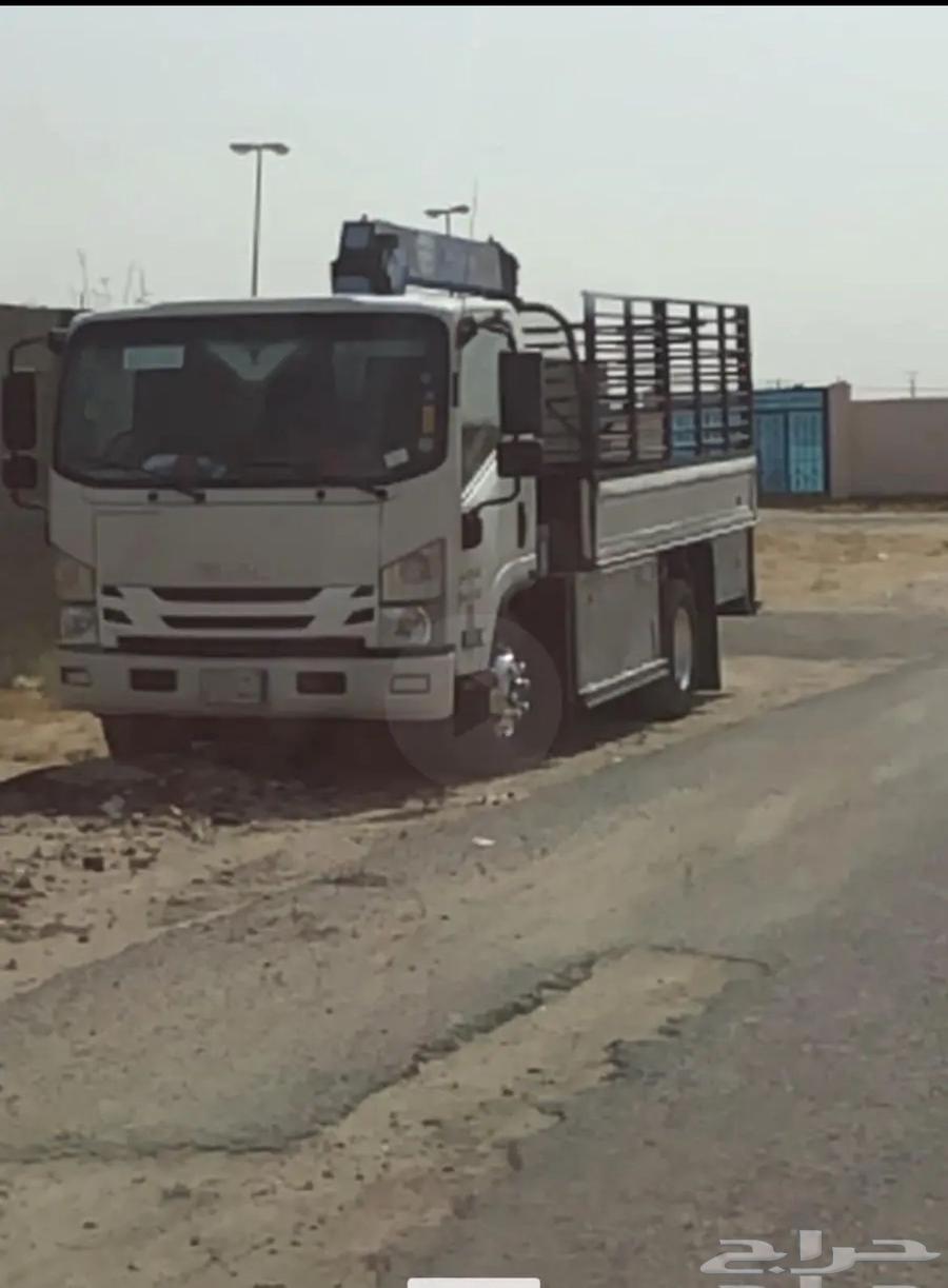 دينه ونش كرين دنه ونش كرين رافعه في جده64225321118593110