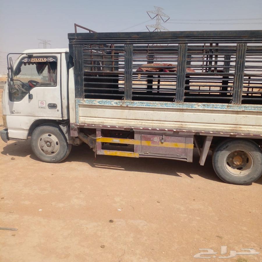 دنا 200264215098543363111