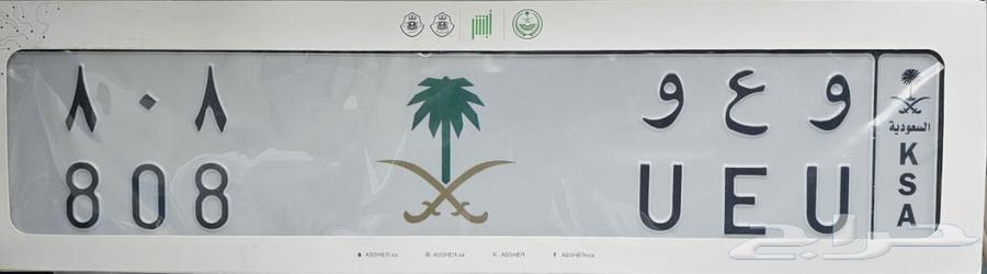 Specialized Number and Letter Plate (W A W 8 0 8)64220611216643110