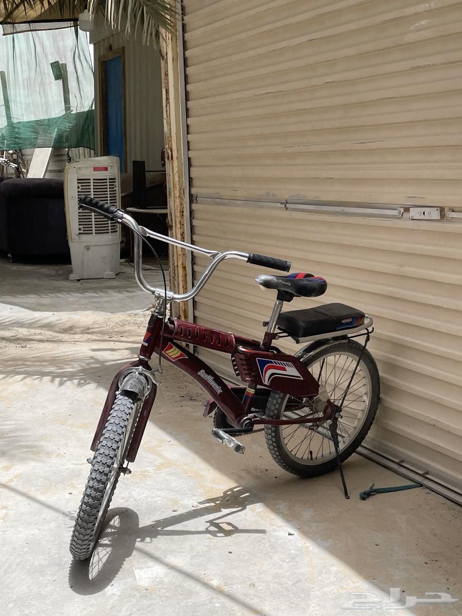 للبيع سيكل في الأحساء الفضول64208658279299112