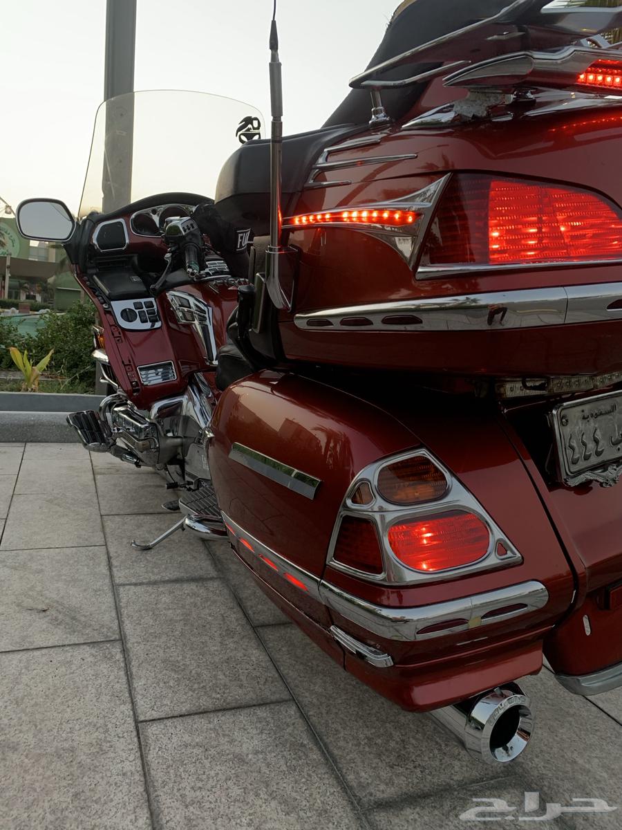 دباب قولد وينغ 200664458274223619111