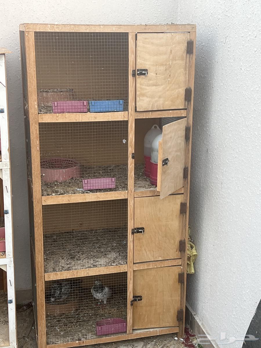 محاكر للبيع اقفاص64222052898179111