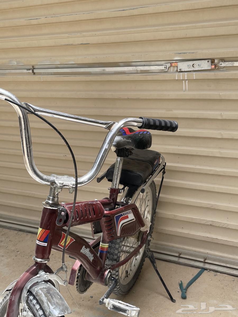 للبيع سيكل في الأحساء الفضول64208658279299113